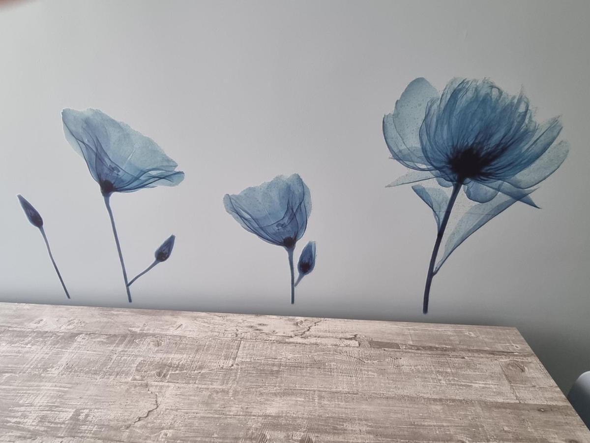 Blue House Apartment - San Massimo Verona Ngoại thất bức ảnh